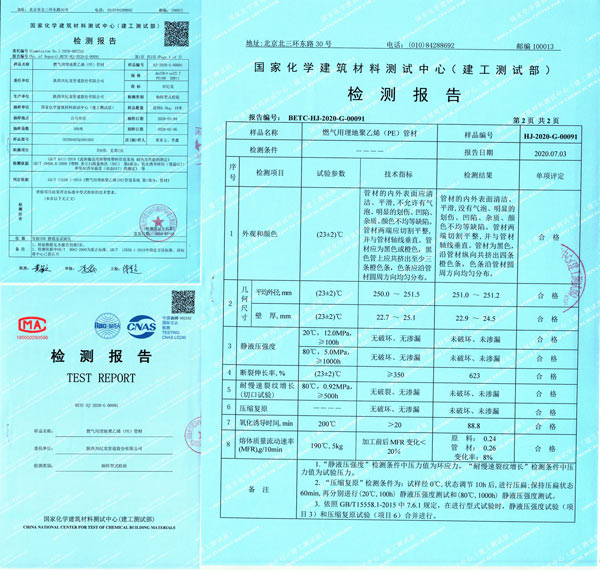 “興紀(jì)龍管道”燃?xì)鈾z測報告